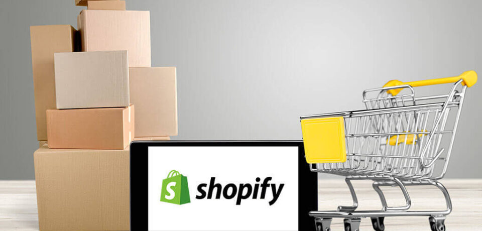Shopify Development Services