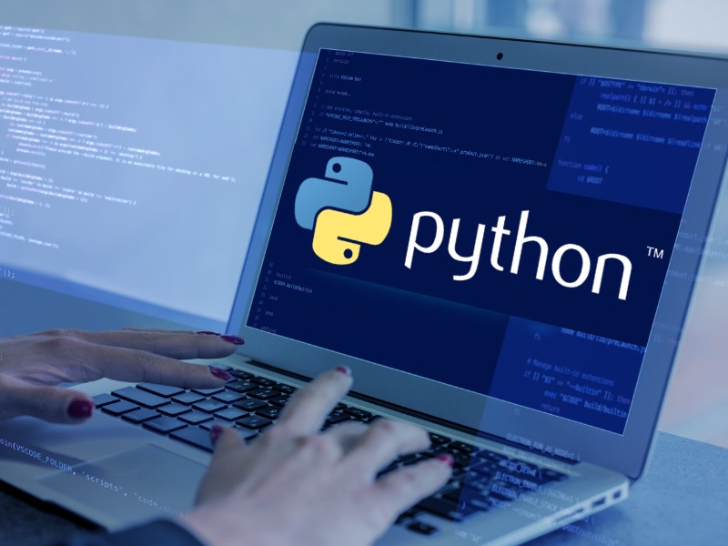 Python Development service