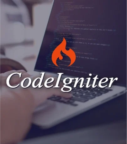 CodeIgniter Developer