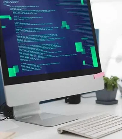 Website Developer