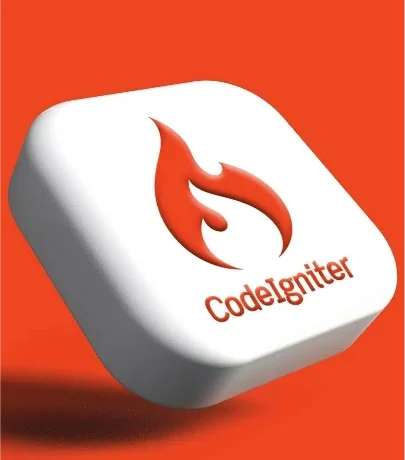 CodeIgniter Developer