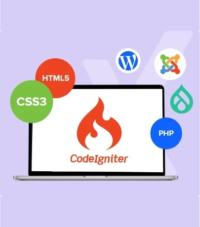 CodeIgniter Developer