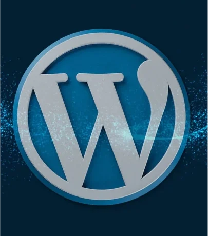 WordPress Developers