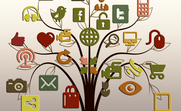Social Networking